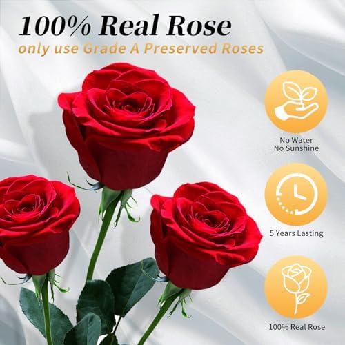 Green Forever Flowers Roses in A Box,Real Preserved Flowers,Preserved Roses,Forever Flower Gifts for Women/Men/Mom,Flowers for Valentine's Mothers Day