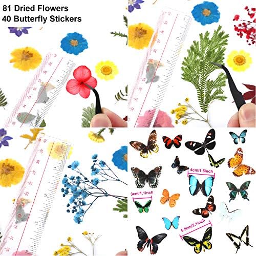 Augshy Real Dried Pressed Flower Set with Butterfly Transparent Stickers Scrapbook Decals Natural Dried Flowers Leaves with Tweezers for Resin Supplies DIY Candle Jewellery Making