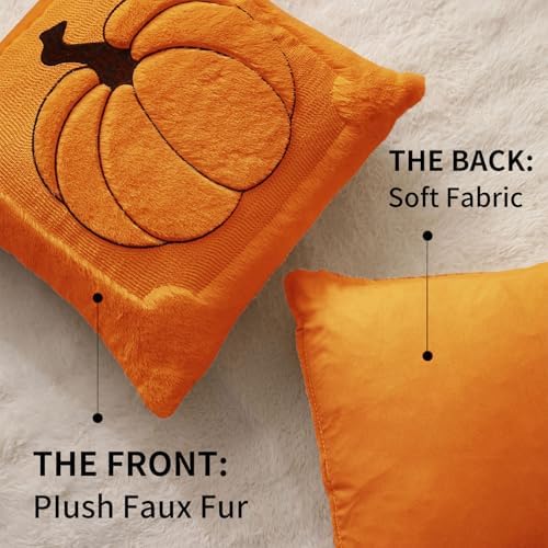 Allorry Fall Pillow Covers 18x18 2 Pack Orange Pumpkin Home Decor PT010B18