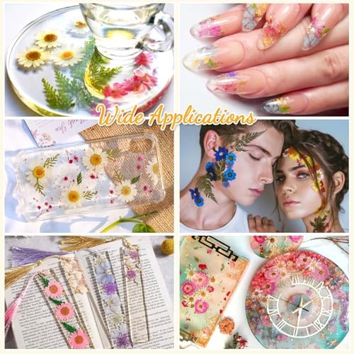 Evatage 200 Pcs Small Dried Pressed Flowers for Resin Crafts