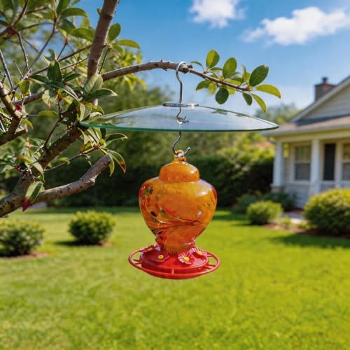 13" Large Glass Rain Cover for Bird Feeder, Clear Weather Guard Dome Shield