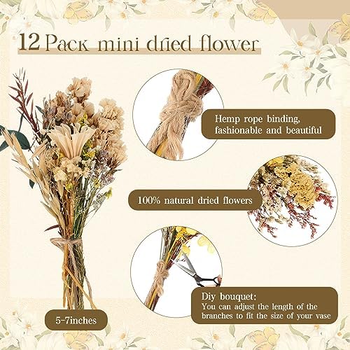 Layhit 12 Pcs Mini Dried Flower Bouquet Boho for Wedding,Bright