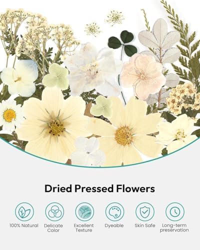 Dried Flowers, Resiners 100Pcs Pressed Flowers for Craft