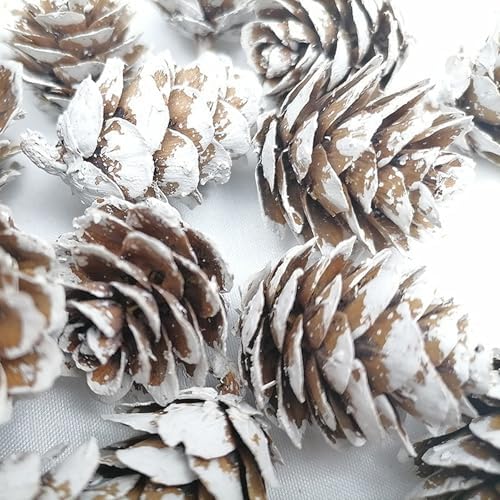 160 PCS Mini Snow Pine Cones Christmas Thanksgiving Pine Cones Bulk White Christmas Small Tiny Pinecones Ornaments for Home Decoration DIY Crafts Wedding Xmas Tree Fall Winter Decor
