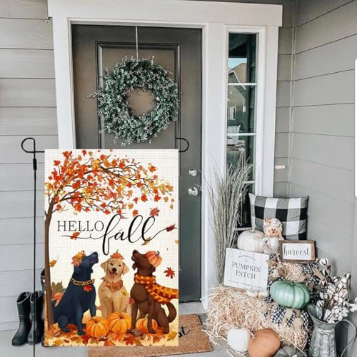 LosFong Hello Fall Dogs Garden Flag 12x18 Inch Double Sided Burlap Autumn Maple Leaves Pumpkin Farmhouse Small Yard Flag for Outside Decoration (Fall)