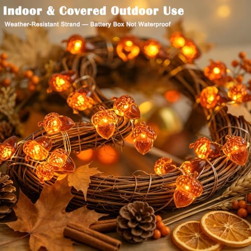 Thanksgiving Decoration 13ft 40 LED Acorn Fall Fairy Lights Battery Powered