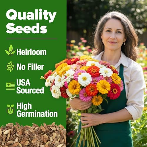 HOME GROWN Zinnia Seeds, Pumila Mix, 300 Seeds, Zinnia elegans