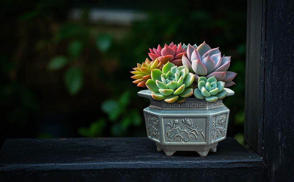 8-Inch Large Octagon Bonsai Pot Light Blue Water Glaze | Ceramic, Handmade,Ceramic Flower Pot, Handmade