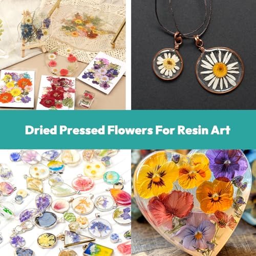 Dried Flowers, Resiners 58Pcs Pressed Flowers for Craft
