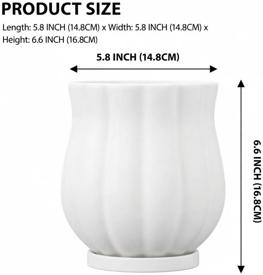 5.8" Matte White Ceramic Plant Pot with Saucer | 5.8 x 5.8 x 6.6 Inches | With Drainage Hole | Suitable For Indoor and