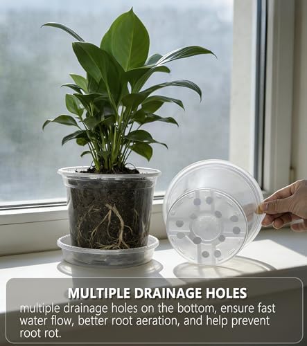 15-Pack Clear Nursery Pots with Saucers (3/4/5 Inch)