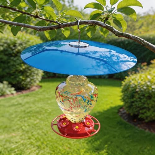 13" Large Glass Rain Cover for Bird Feeder, Blue Weather Guard Dome Shield