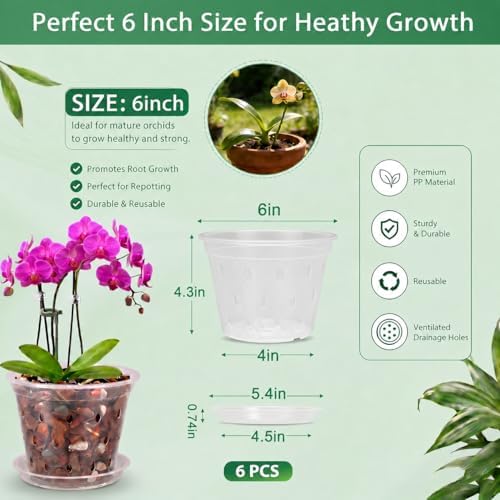 Orchid Pot -6 Pack 6 Inch Orchid Pots with Holes and Saucers, Clear Plastic Plant Pots with 8 Support Stakes and Clips, Orchid Repotting Kit for Indoor Plants (6 Inch)