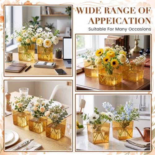Tioncy 12 Pcs Amber Square Vase 5'' x 5'' Acrylic Flower Plastic Vases for Centerpieces Acrylic Cube Plastic Container Bulk Succulent Pots Planters for Plant Wedding Home Office Floral Decor