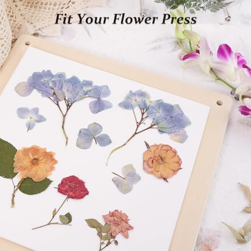 26 Sheets 9 x 9 inch Blotting Paper for Flower Press
