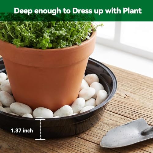TRUEDAYS 20 Pack 8 Inch Plant Saucers Black Plant Saucers Flower Pot Plastic Drip Trays Excellent for Indoor & Outdoor Plants