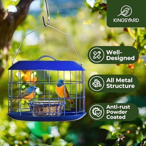 Kingsyard Bluebird Feeders for Outdoors Hanging