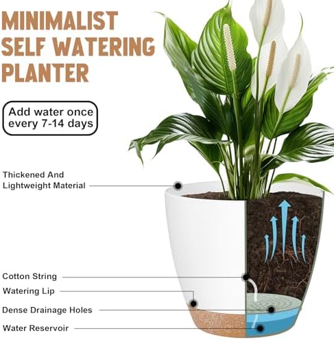 QRRICA Plant Pots 8/7/6.5/6/5.5/5 Inch Self Watering Pots, Set of 6 Plastic Planters with Drainage Holes and Saucers,Plastic Flower Pots,Nursery Planting Pot for Indoor Out Door Plants（White）