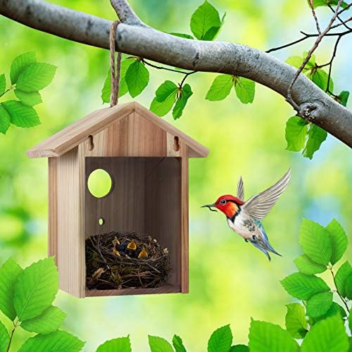 See Through Window Bird House for Viewing,Suction Cups