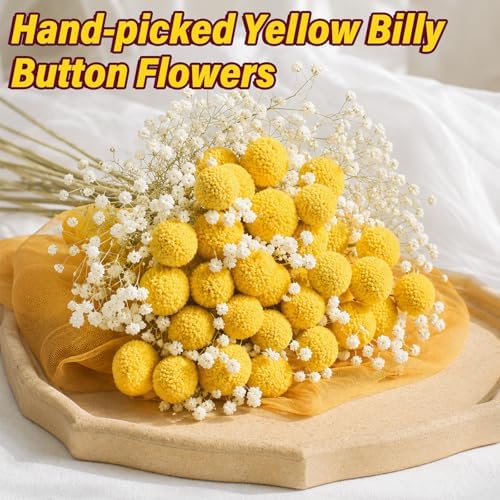 40pcs Dried Billy Balls Flowers for Wedding Decor & Floral Displays