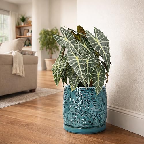 D'vine Dev Embossed Leaves Ceramic Planter, 10 in, Ocean Teal, 27-A-P-8
