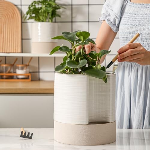 Nihow Ceramic Self Watering Plant Pot for Indoor Plants, 8 Inch,Cream White