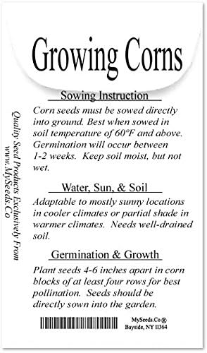 1 lb (1,600+ Seeds) Reid's Yellow Field Corn Seed (OP) Open pollinated Variety - Non-GMO Seeds by MySeeds.Co (1 lb Reid