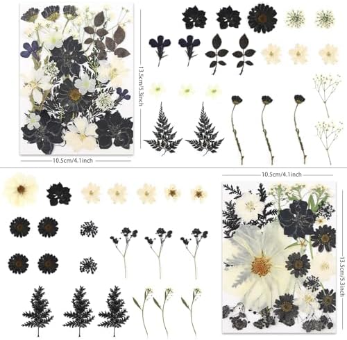 LUXEEASE 90P Halloween Black & White Dried Pressed Flowers