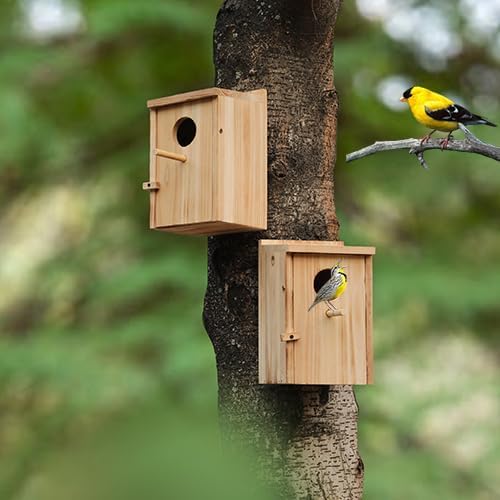 LEOSYY2 Pack Bird Houses for Outside with Clean-Out Door,Bird House Outdoor | Solid wood outdoor nesting boxes for