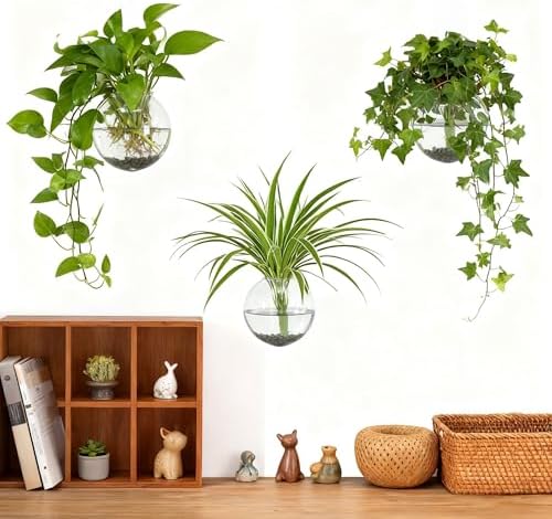 4 pcs Glass Wall Hanging Planter, Oval Terrarium Vase, Propagation Station for Hydroponics, Indoor Plants, Home Office Decor (Large)