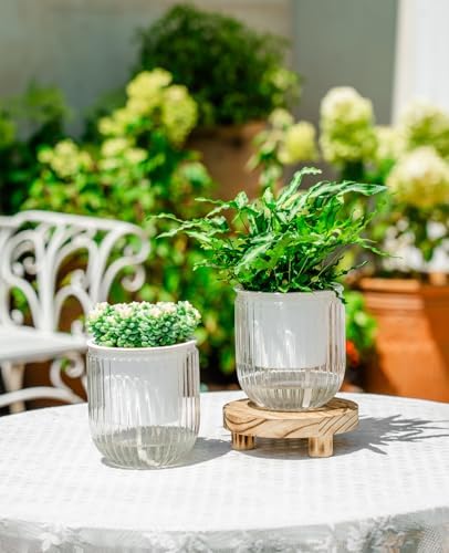 Melphoe Self Watering Pots for Indoor Plants Planter, 4.7 Inch 2 Pack Planters Self Watering Plant Pots for Flower, Houseplants, Succulent, African Violets and Cactus with Drainage