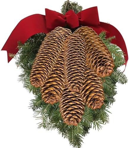 Spruce Pine Cones Set of 24, Natural Large Pinecones 3.5"–4.5", Rustic Pine Cones for Christmas Decorations, Vase Filler, Holiday Centerpieces, Winter Wreaths, Garland, Bowl Filler & DIY Crafts