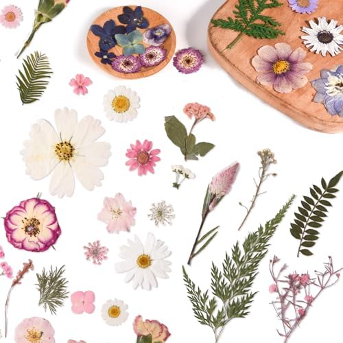 80PCS Pink Pressed Dried Flowers Dry Leaves with Tweezers