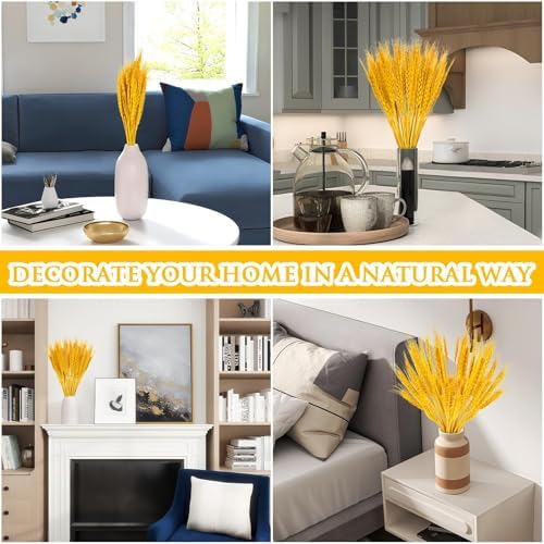 Sukh 50 Stems Dried Wheat Stalks - Golden Wheat Straw for Vases 13.3 in