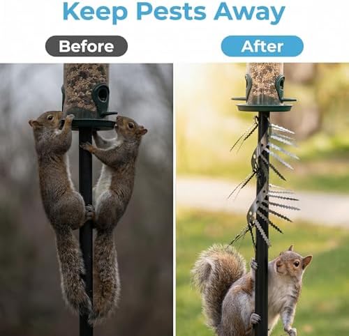 2m Anti-Bird/Squirrel Spikes & Squirrel Proof Baffle for Bird Feeders Pole