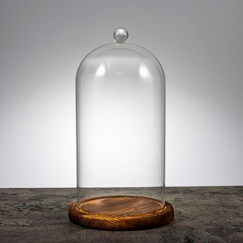 Glass Cloche Dome, 5 x 10 Inch | Glass Bell Jar with Wood Base, Clear Display Case for Flower, Plant,Fairy Lights