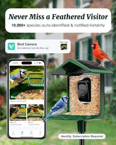 Smart Bird Feeder with Camera Solar Powered 2K Video AI Identify 32GB Card