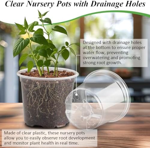 RooTrimmer Transparent Nursery Pots 4Inch with Humidity Domes for Seeds Starting, Clear Plastic Plant Pots with Drainage Holes (4Inch, 30Pcs,Clear Pots with Lids)