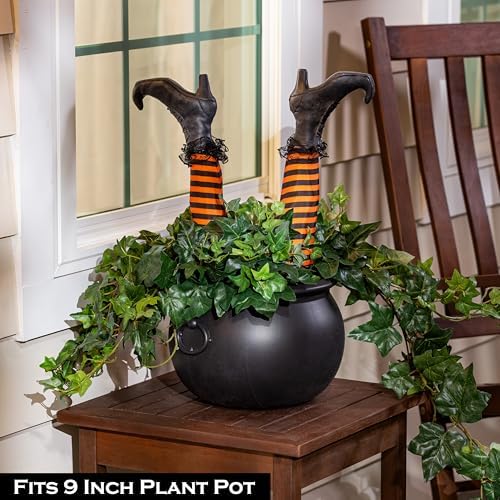 Evergreen Garden Cauldron Witch Pot Candy Holder Bowl Bucket for Trick-or-Treat, Flower Plant Pot, Indoor/Outdoor Halloween Witches Decoration for Party Home Office Desk (Witch Cauldron)