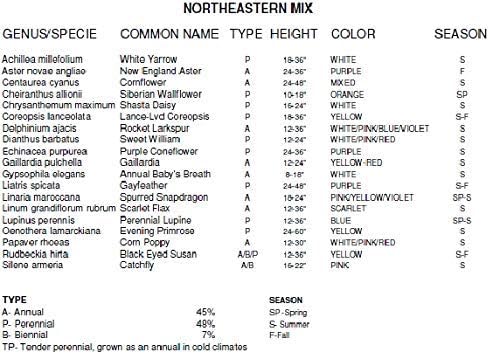 Northeast Wildflower Seed Mix (1 Lb) - 25 Species, Non-GMO, 60% Annual 40% Perennial, 500-1,000 Sq Ft Coverage