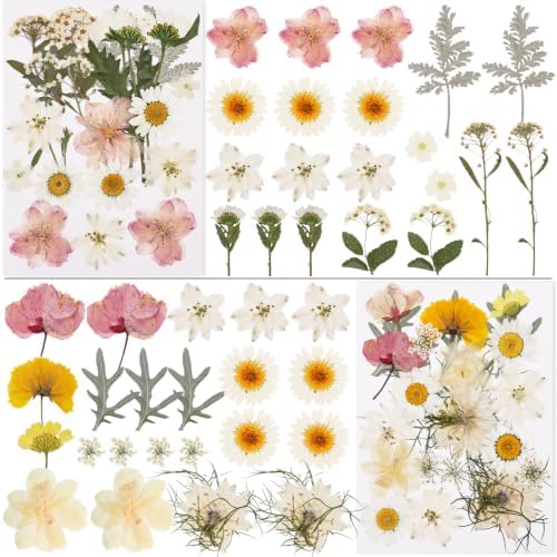 NESCCI 83 Pcs Dried Flowers for Crafts,Real Natural Dried Pressed Flowers