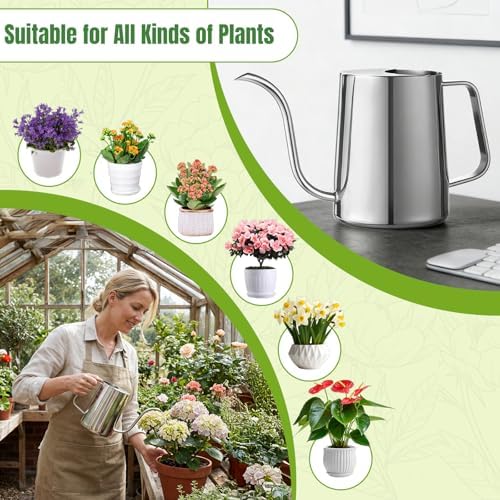 Plant Watering Can, 304 Stainless Steel Watering Can Indoor, 34 oz