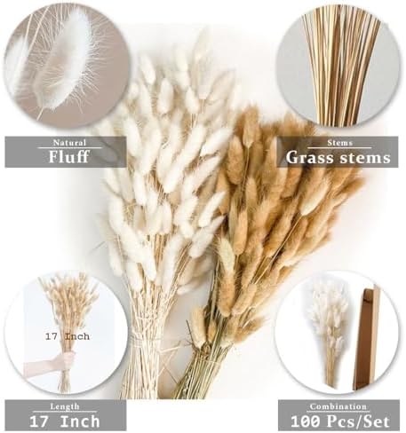 Bunny Tails Dried Flowers Boho Decor Pampass Grass 100pcs Floral Stems Decoration Plants 17 Inch (Natural)