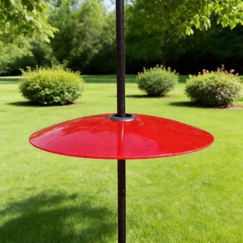 13" Large Glass Rain Cover for Bird Feeder, Red Weather Guard Dome Shield