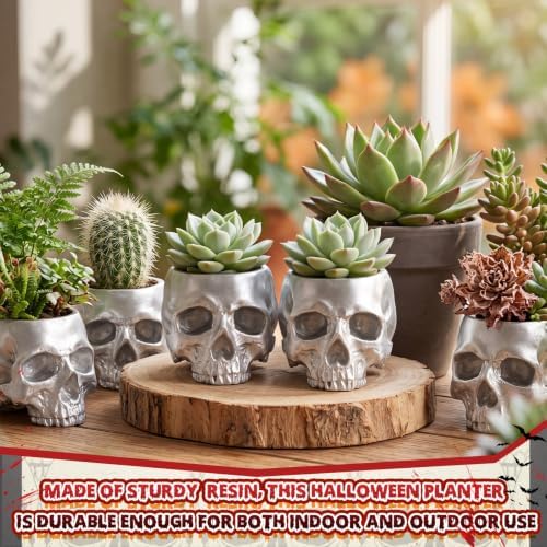 2 Pack Halloween Skull Planter, Silver, Modern