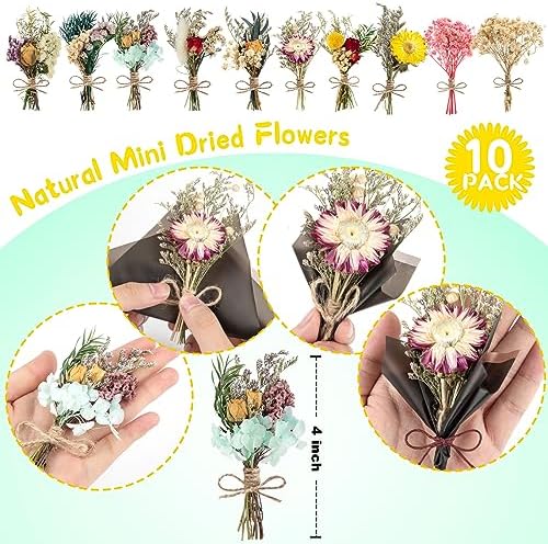 10 Pcs Dried Flowers for Crafts, Mini Dried Flowers Bouquet Bulk for Vase DIY Photo Bridesmaid Gift Birthday Decor