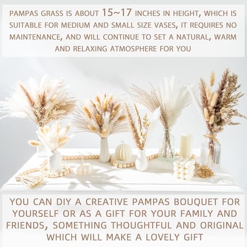 220PCS Natural Dried Pampas Grass Boho Home Decor Bouquet Phragmites Dried Flowers Bouquet for Wedding Floral Arrangements Home Decorations (220PCS)