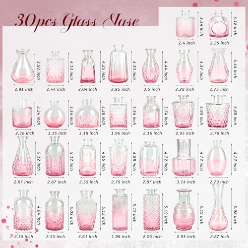 Der Rose 30pcs Glass Bud Vases, Pink Vases for Wedding Home Decorations