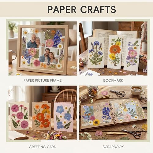 LUXEEASE 4-Color 80P Natural Dried Pressed Flowers