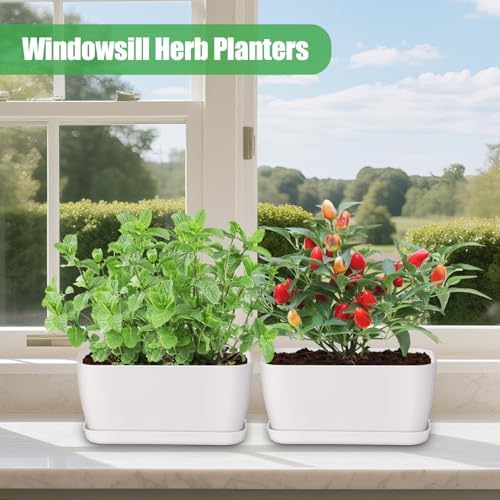 Oliz 6 Set Window Herb Planter Box Rectangular, White Plastic Planters with Multiple Drainage Holes and Trays,Indoor Succulent Cactus Mint Flower Pot for Windowsill, Garden Balcony